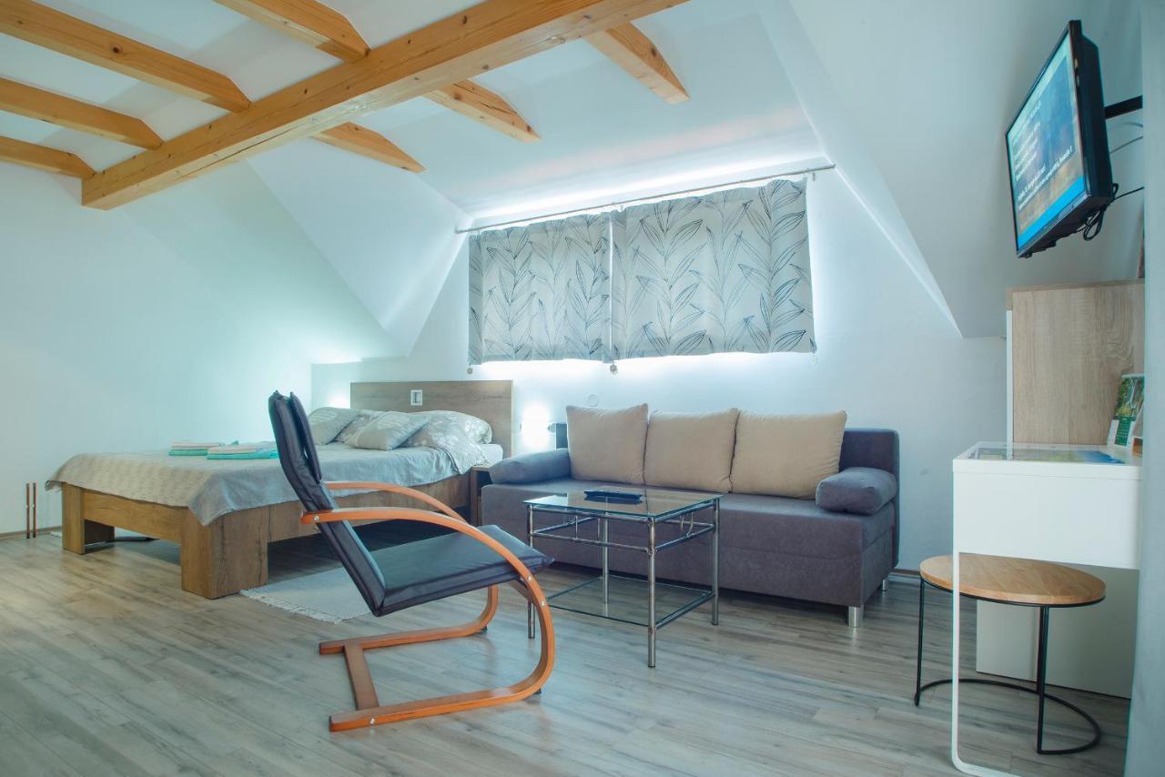 Studio Apartment Karlo Drežnik Grad المظهر الخارجي الصورة
