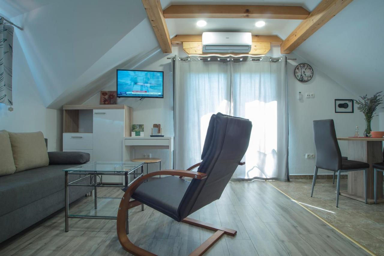 Studio Apartment Karlo Drežnik Grad المظهر الخارجي الصورة
