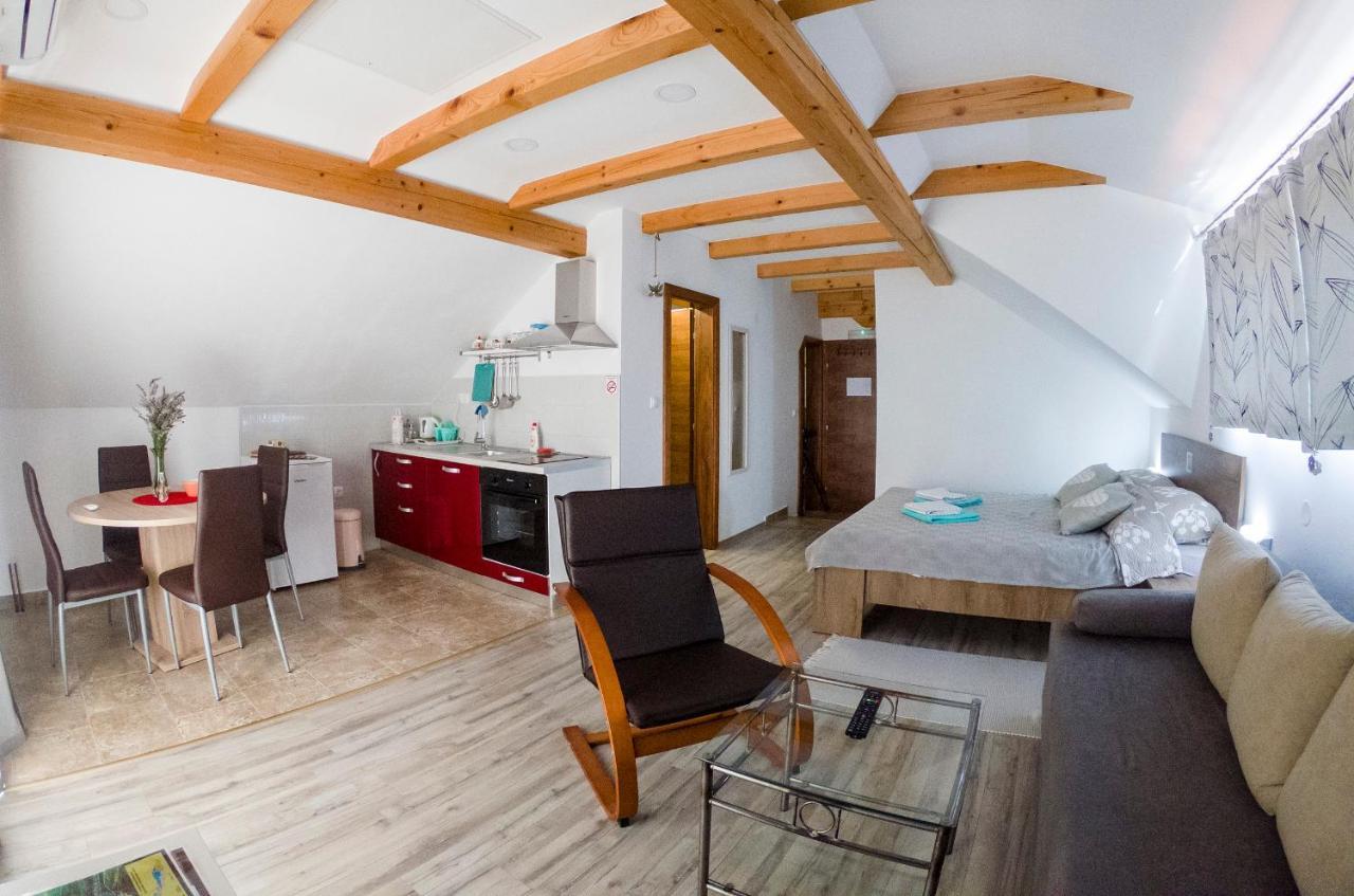 Studio Apartment Karlo Drežnik Grad المظهر الخارجي الصورة